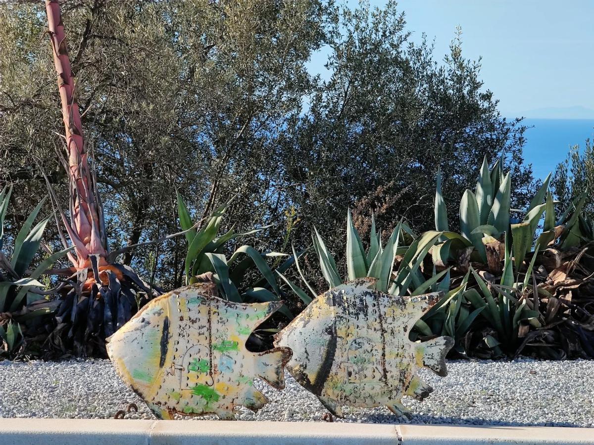 Campo Agave B&B Sayalonga Εξωτερικό φωτογραφία