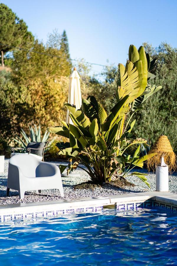 Campo Agave B&B Sayalonga Εξωτερικό φωτογραφία