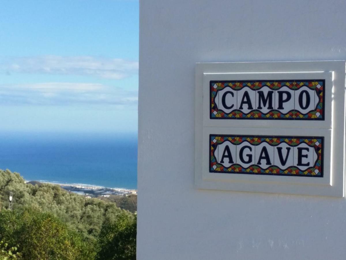 Campo Agave B&B Sayalonga Εξωτερικό φωτογραφία