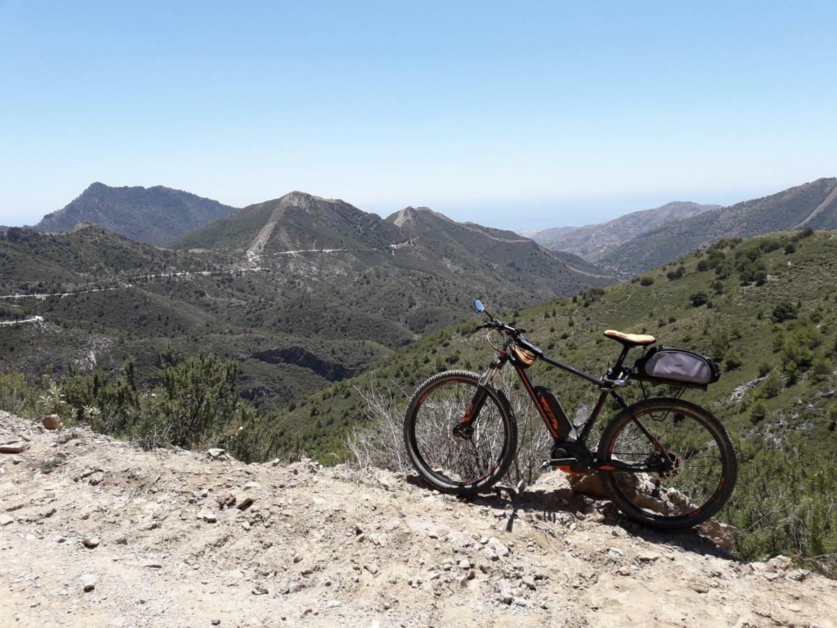 Campo Agave B&B Sayalonga Εξωτερικό φωτογραφία
